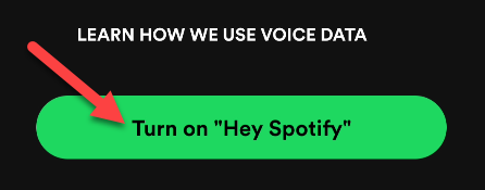 Spotify Voice Assistant: How to Use “Hey Spotify”