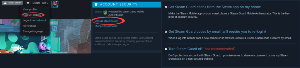 What to Do If Your Steam Account Has Been Hacked