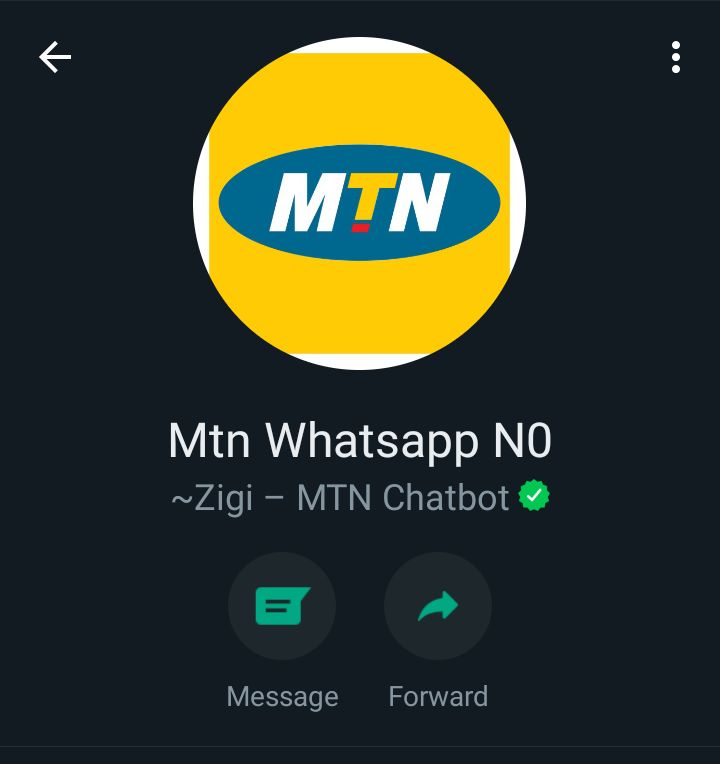 How To Use MTN Zigi Chatbot To Claim Free 1GB Data Everyday