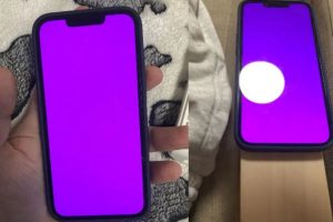 How to Solve Pink Screen Issue On iPhone 13