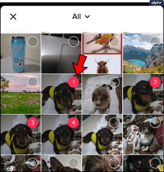 How To Make A Photo Collage For The Tik Tok App