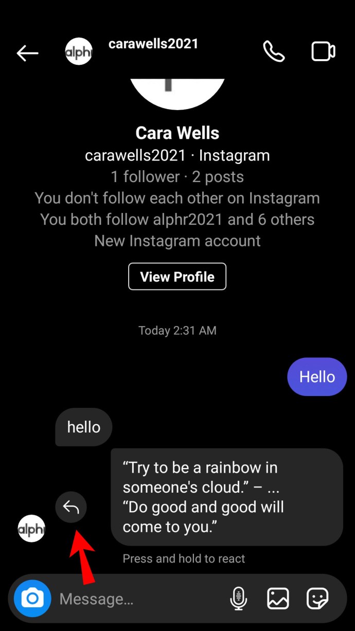 DIY: Reply To A Specific Message In Instagram