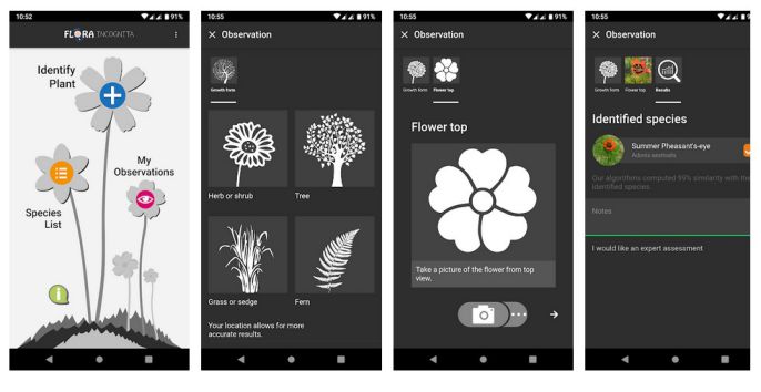 Top 7 Best Apps Download For Plant Identification on Android & iOS (2024)