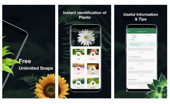 Top 7 Best Apps Download For Plant Identification on Android & iOS (2024)