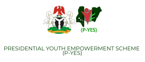 National Youth Empowerment Fund Application