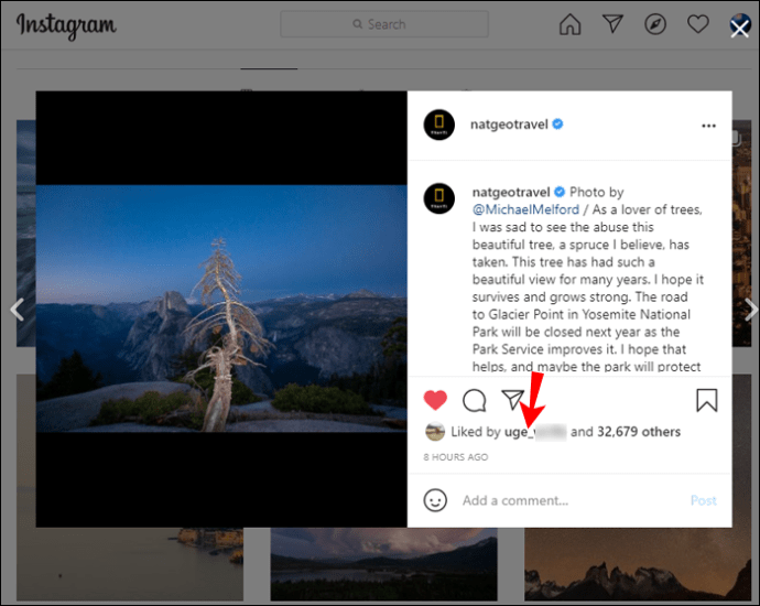 How To See Previously Liked Posts On Instagram