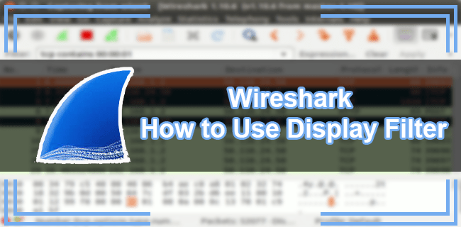 How Can I Use A Display Filter In Wireshark