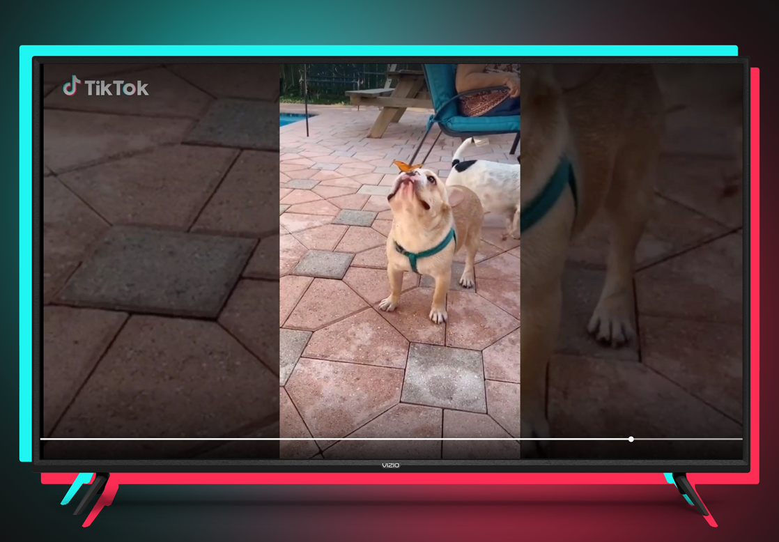 TikTok's big-screen app lands on Vizio TVs