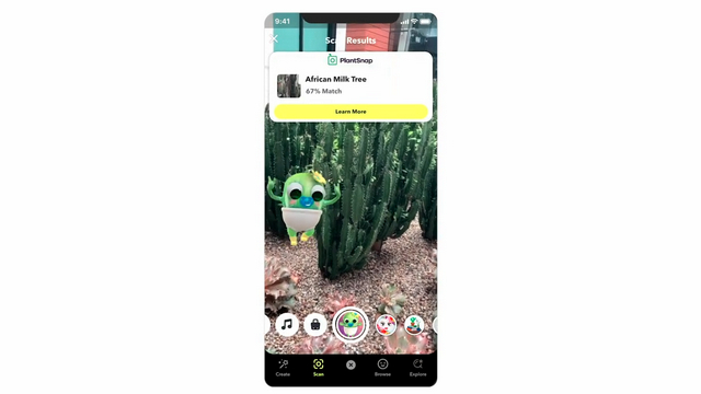 10 Best Plant Identifier Apps for Android and iPhone (Free & Paid)