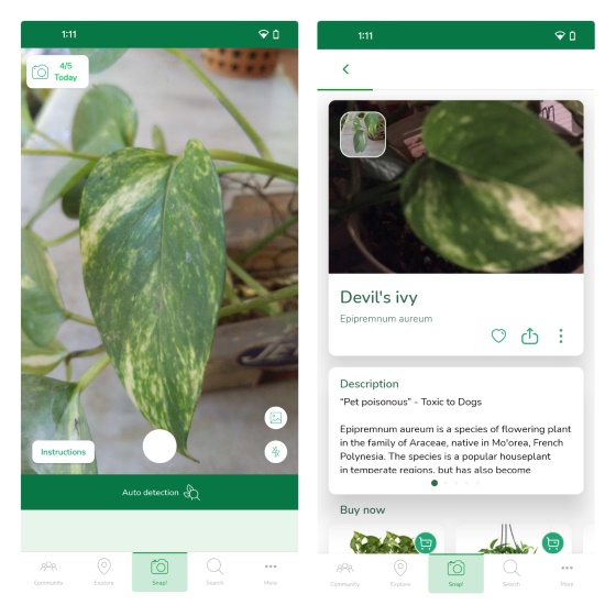 10 Best Plant Identifier Apps for Android and iPhone (Free & Paid)