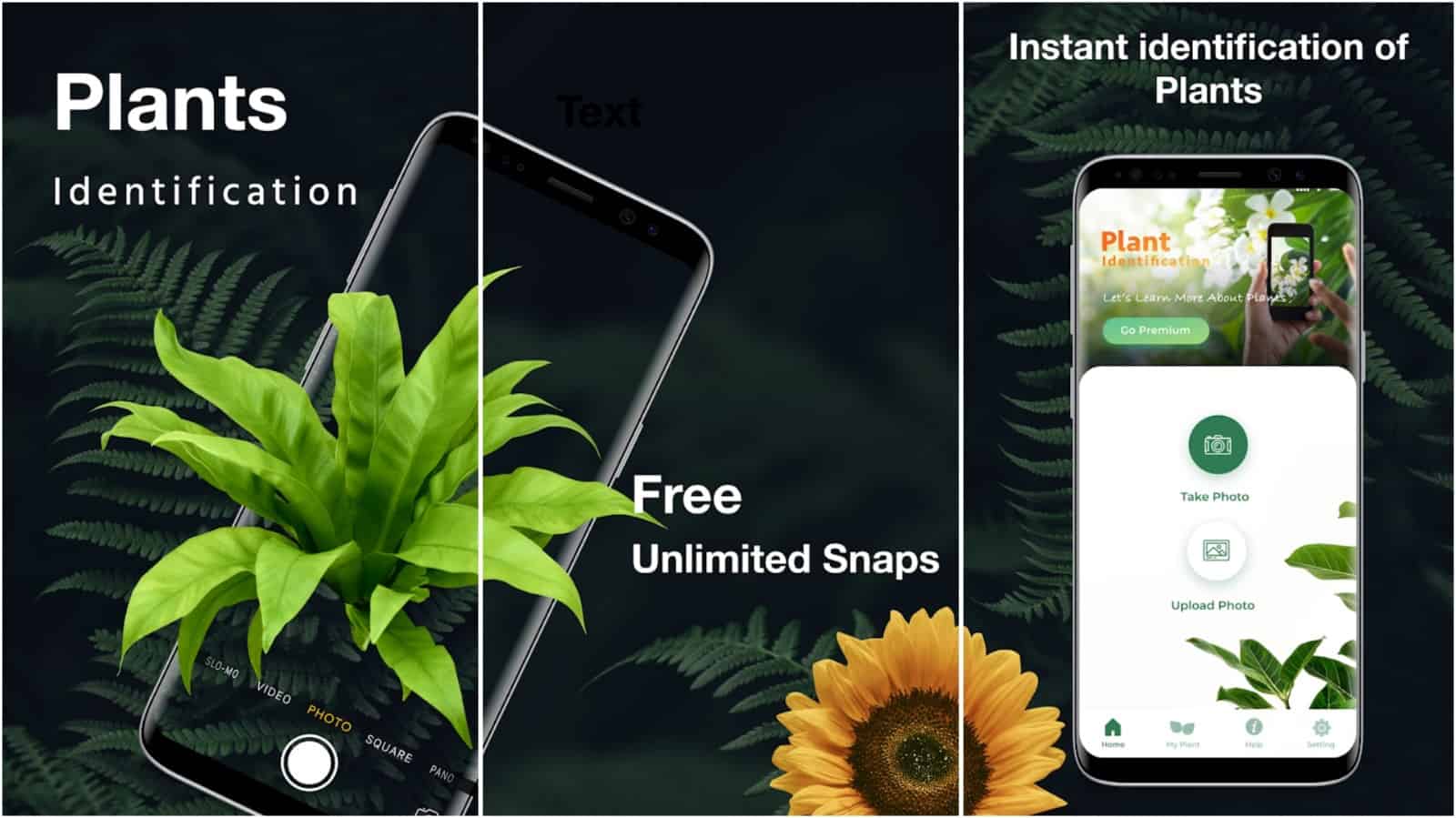 10 Best Plant and Flower Identification Android Apps (2022)