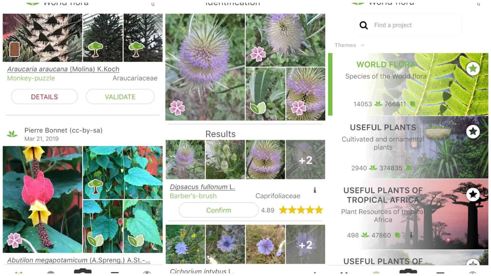10 Best Plant and Flower Identification Android Apps (2024)