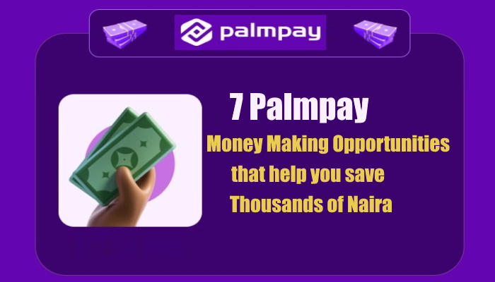 How to Grab PalmPay Money Making Opportunities