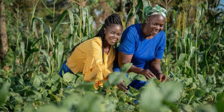 Heifer International’s Tech-Driven Initiative Transforms Smallholder Farming in Africa